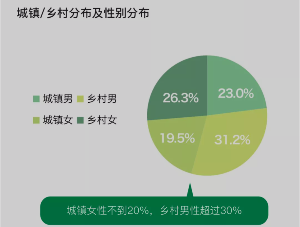 十逾股批量涨停！风电板块再燃热度，抢装潮刺激行业景气度泾源政府干部任前公示