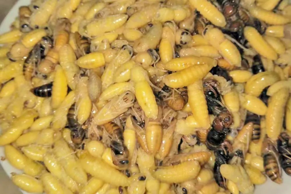 保山大田坝野生蜂仔正当食