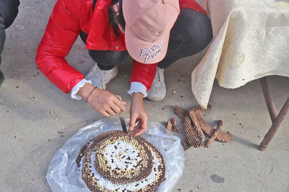 保山大田坝野生蜂仔正当食