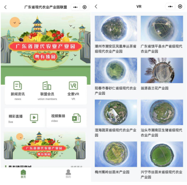 全景VR上线！720°带你“云”游广东省现代农业产业园_腾讯新闻