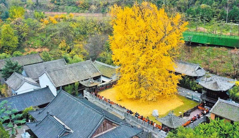 西安市长安区古观音禅寺始建于唐贞观二年(公元628年,据传寺庙里的