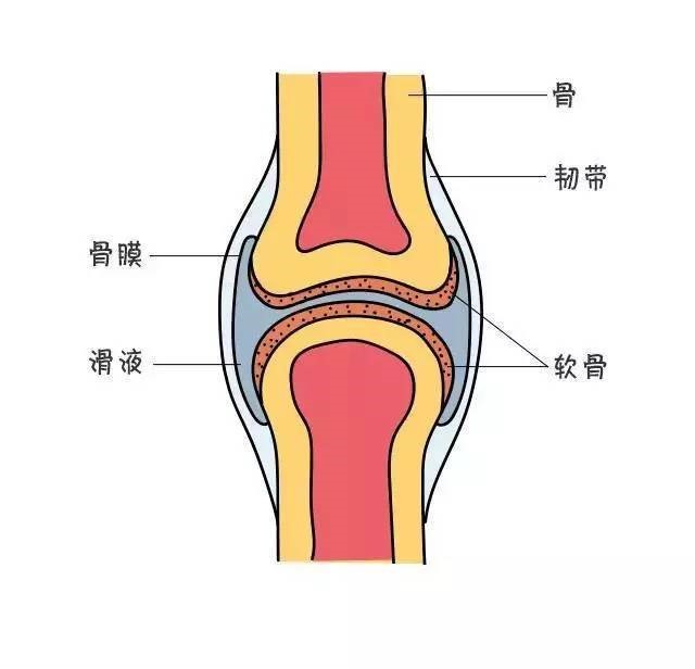 膝关节在跟你说话!或是疾病信号,就怕你听不懂!