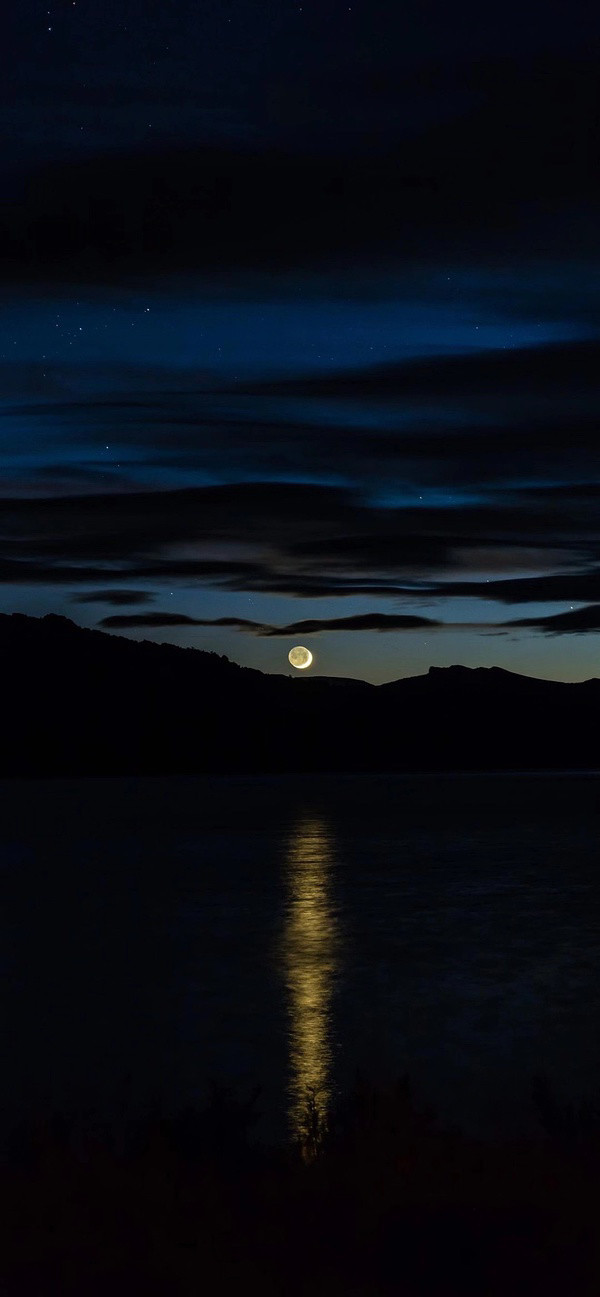 600_1297竖版 竖屏