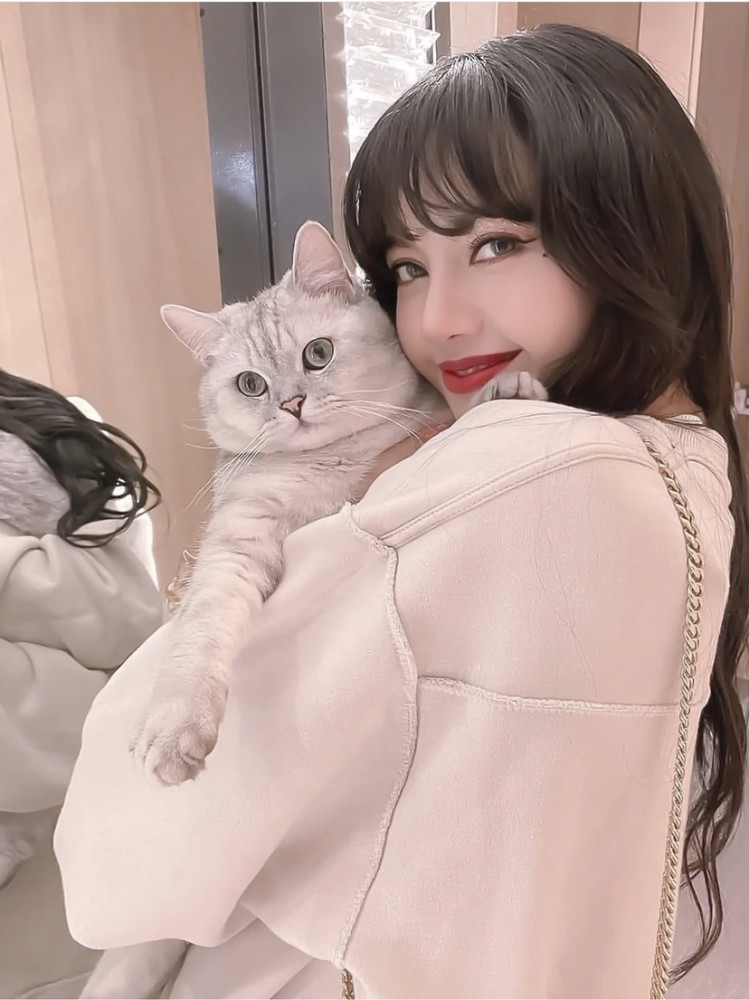 lisa绝美壁纸
