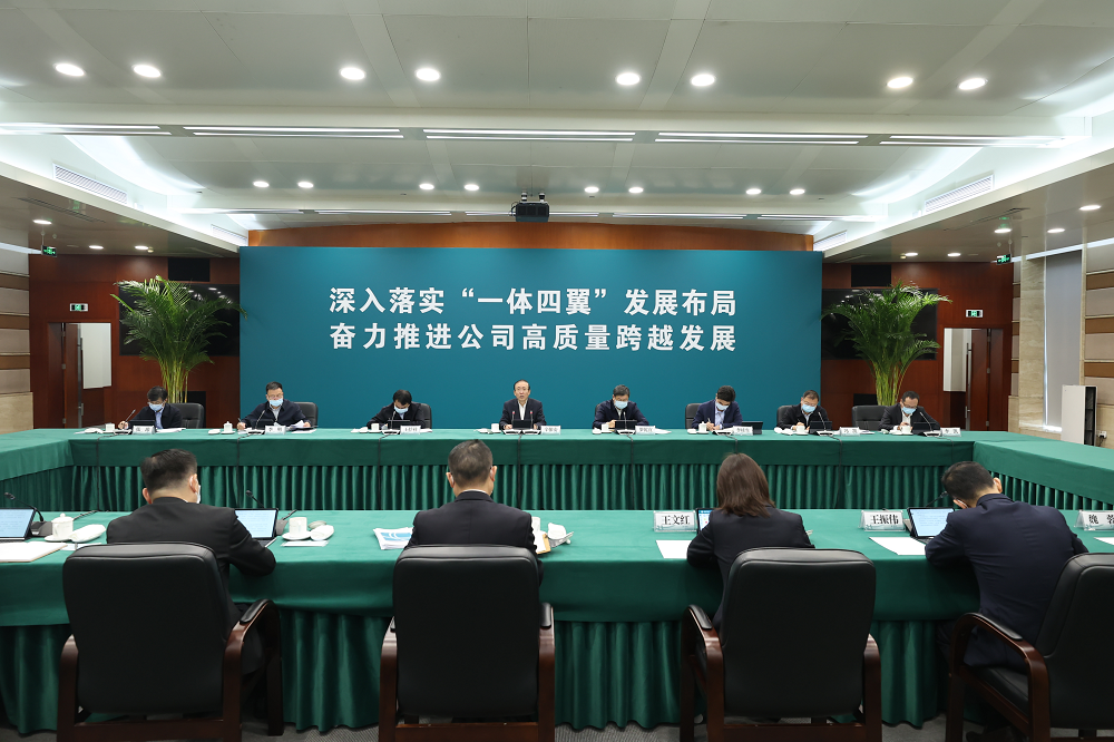 辛保安董事长赴国网安徽电力调研