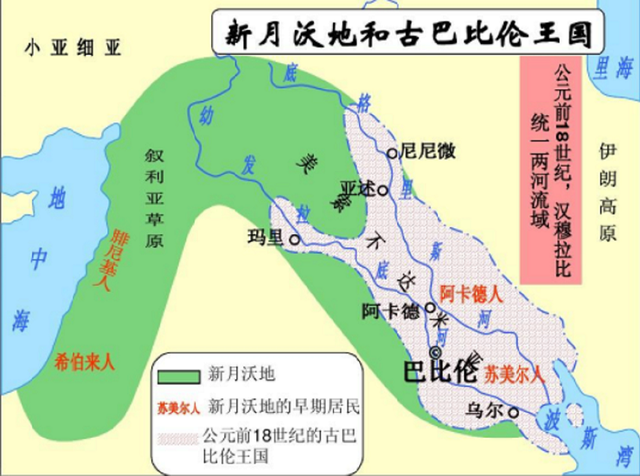 叱咤中东五千年进口颇多但不火沙漠绿金缘何在我国沦为路人甲