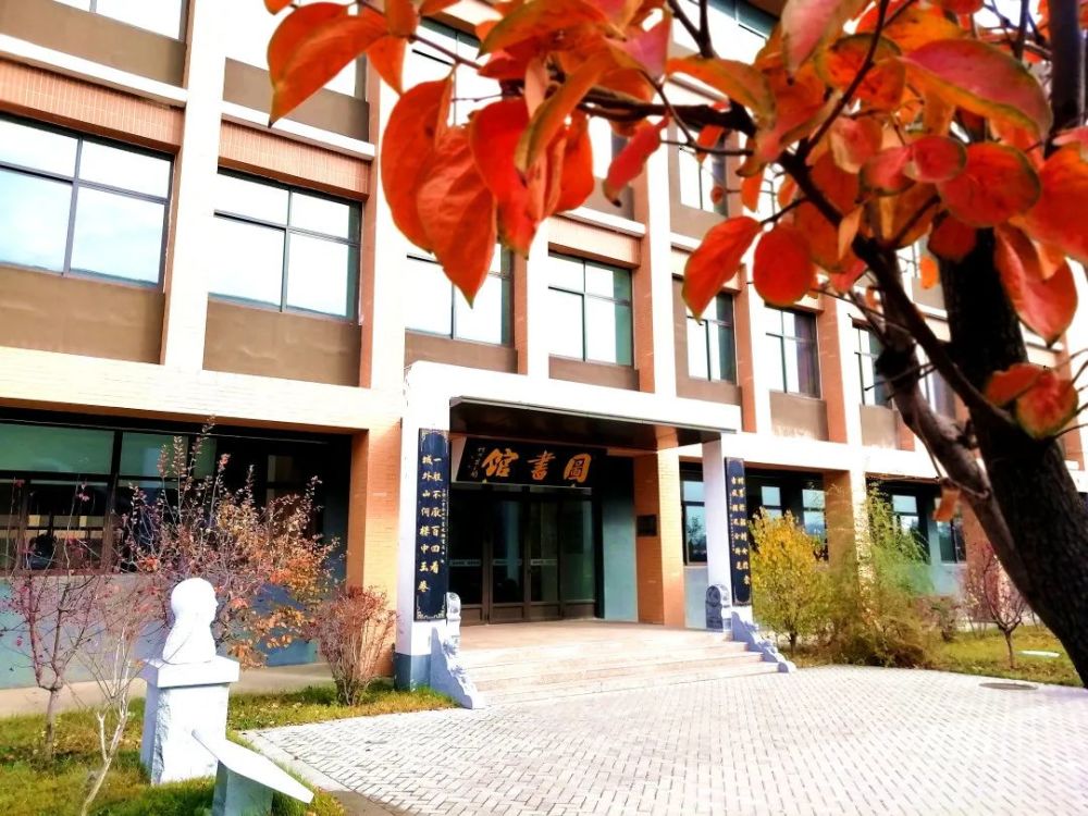 天高云淡气清爽 北校秋色正烂漫——忻州一中北校区邀你共品校园秋韵