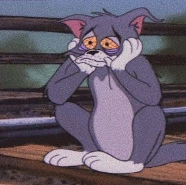 你找不到的猫和老鼠系列头像