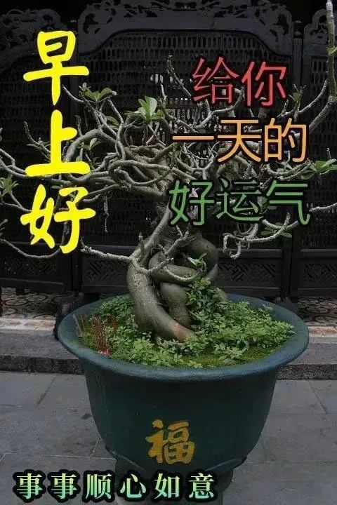 11月4日最新问候祝福图片清晨最美早上好图片大全秋冬时节温馨暖心很