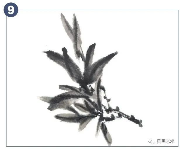 书画联盟丨写意石榴入门画法