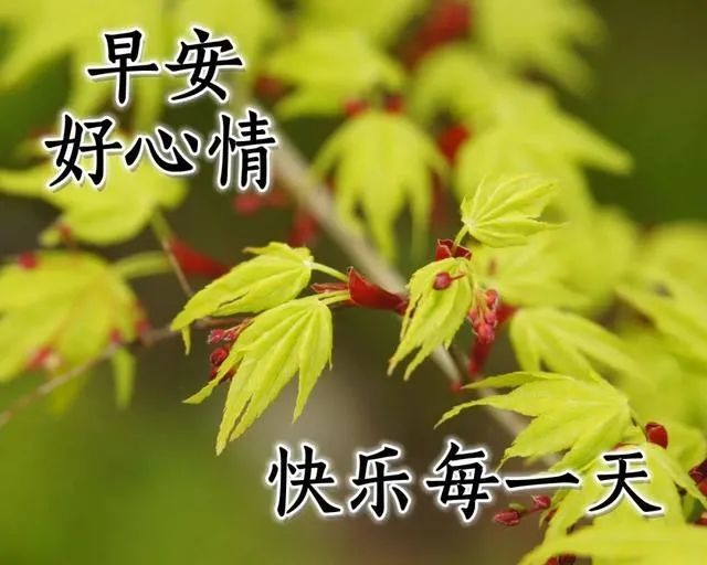 最美風景早上好祝福圖片帶字溫馨聊天不用打字的祝福圖片精選