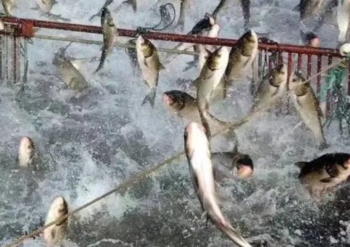 营口景点排行榜_当前营口两居室热门楼盘排行榜,10个楼盘入选,中天·御荷苑排第一