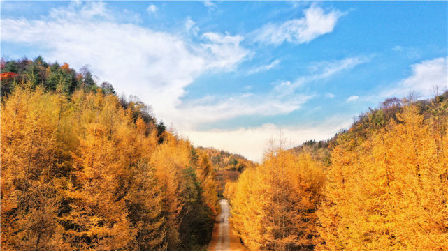 陕西佛坪秋景如画凉风垭