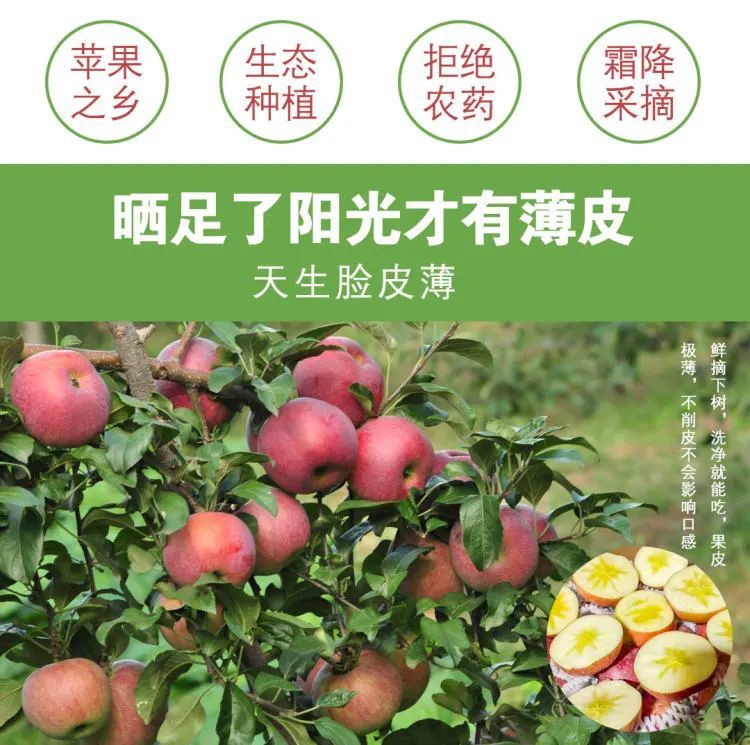 68元抢购10斤云南昭通苹果丑苹果冰糖心脆甜多汁当季新鲜水果包邮