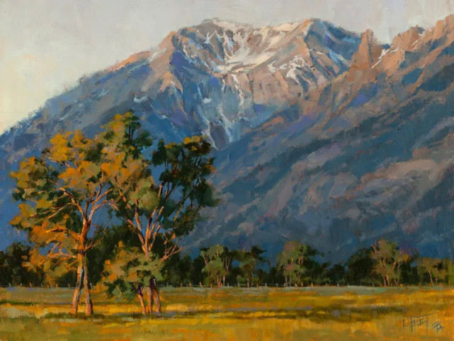 她的风景油画清新自然,浪漫且又淳朴