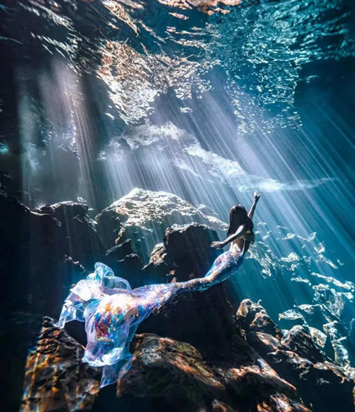 人鱼姬图鉴:美人鱼潜水为什么会爆红朋友圈?