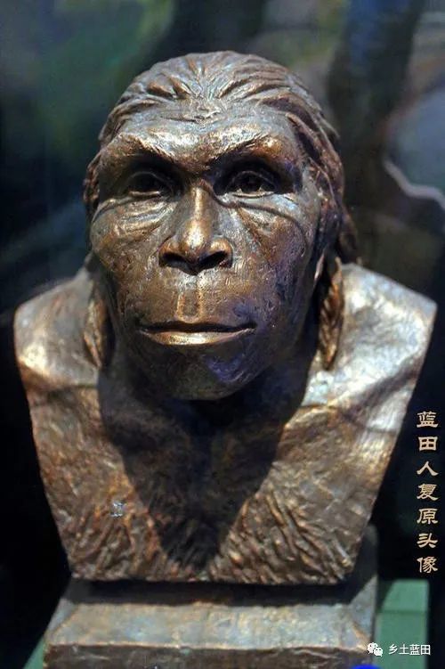 所野外工作队在陕西蓝田一带进行调査发掘工作,先后发现了猿人化石