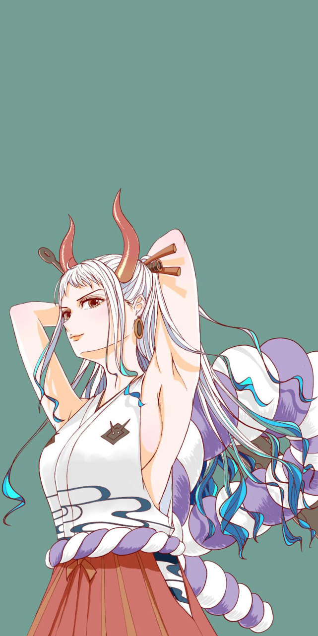 动漫壁纸海贼王凯多儿子大和手机壁纸猜猜凯多老婆是谁