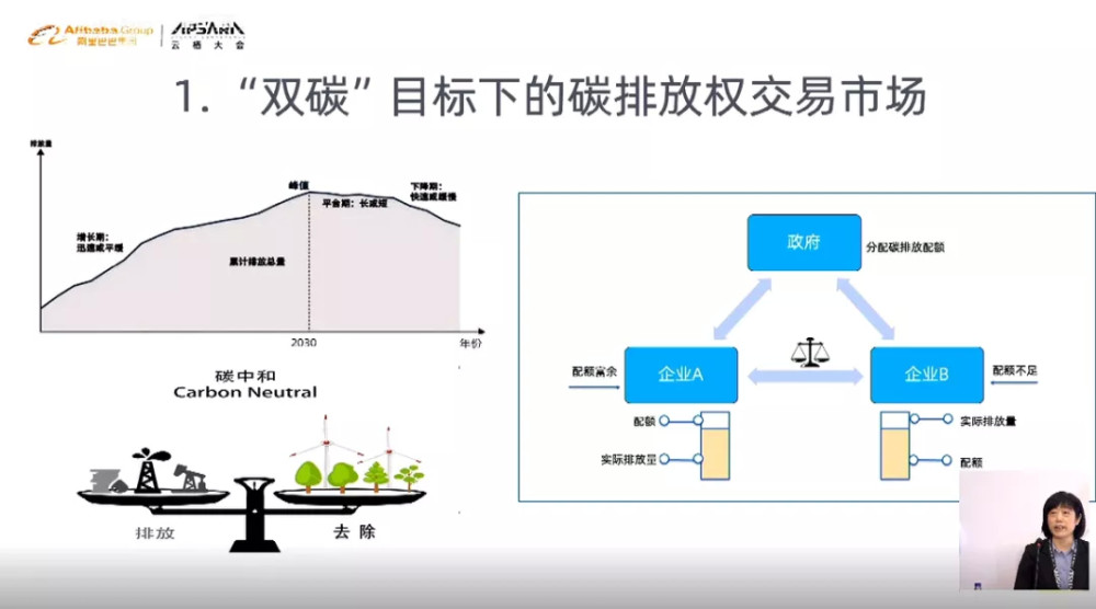 在政府的主導之下為重點空白單位分配相關的碳排放許可又叫「碳排放