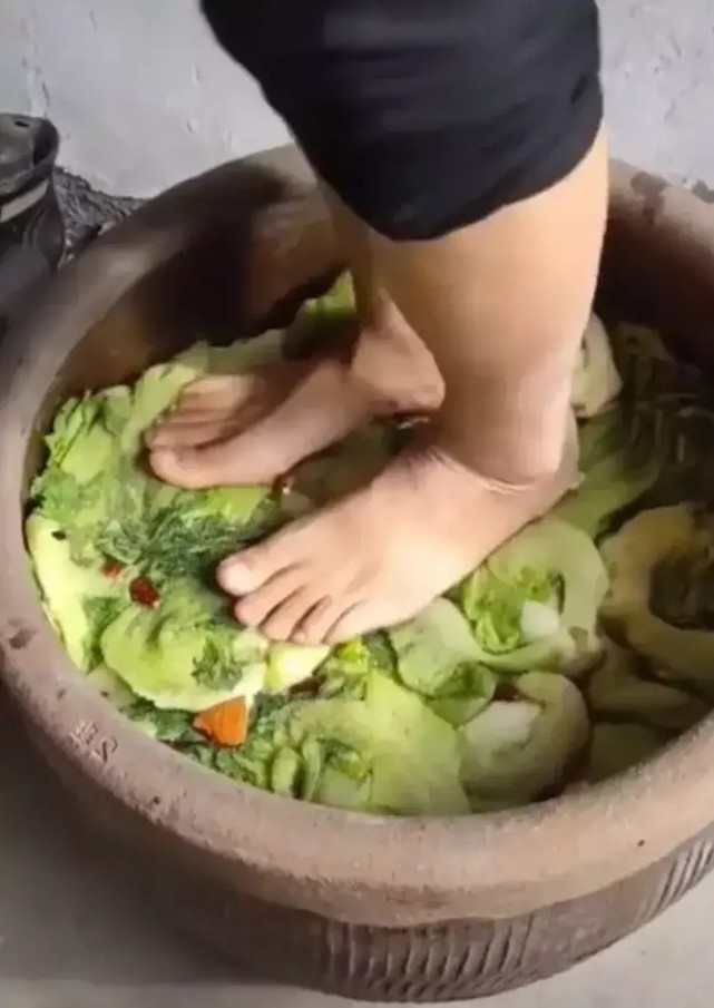 你能接受这种方法腌制酸菜吗用脚踩出来的酸菜