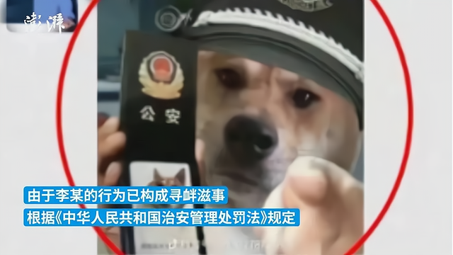 宁夏:男子在群里发"狗狗警察"表情包,被拘留9天,民警回应了