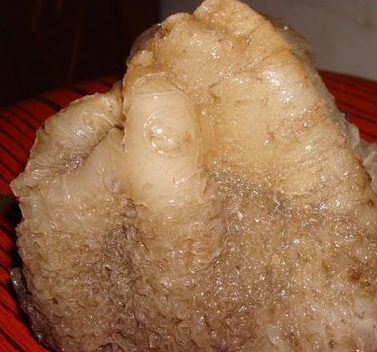 太岁到底是什么科学家告诉我们真相