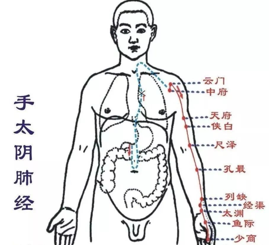 肺经这里最易堵易咳嗽皮肤痒请及时揉开