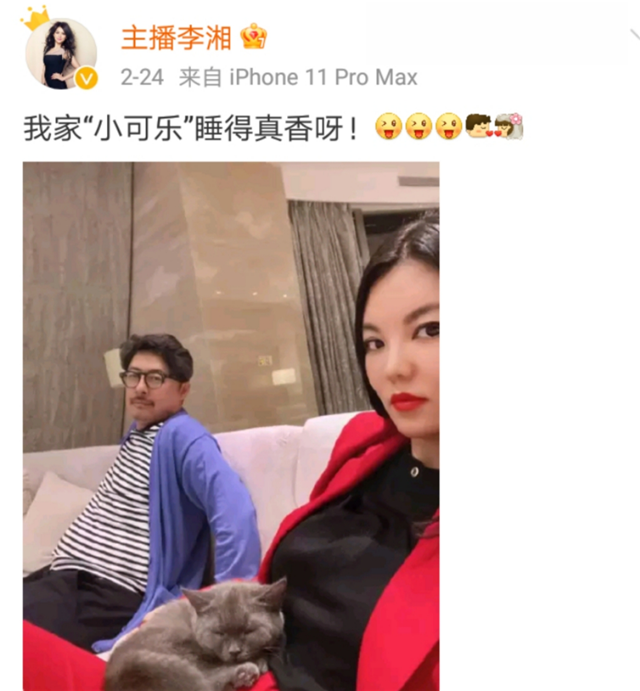 李湘王岳伦夫妇合开公司已注销，再度引发婚变猜疑