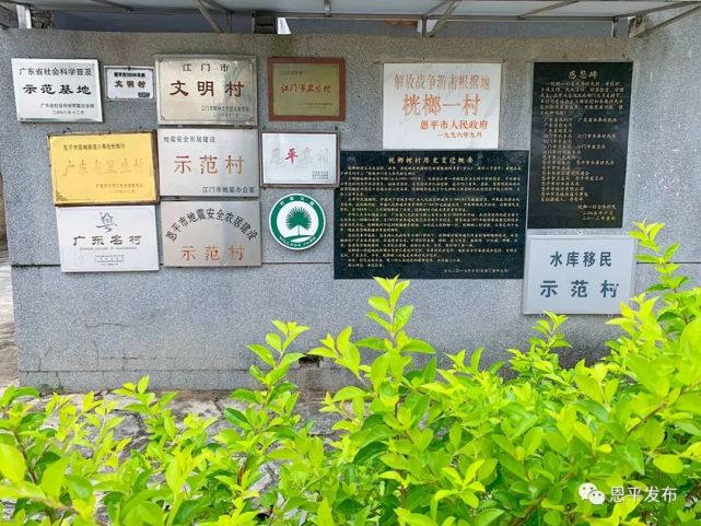 【恩平名村】桄榔一村:绿色生态宜居的"水库移民示范村""广东名村"