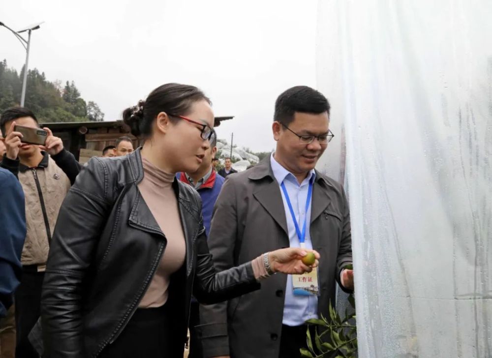 在"大坡飞鸡"产业大数据中心,莫小华听取了"大坡飞鸡"的养殖规模及