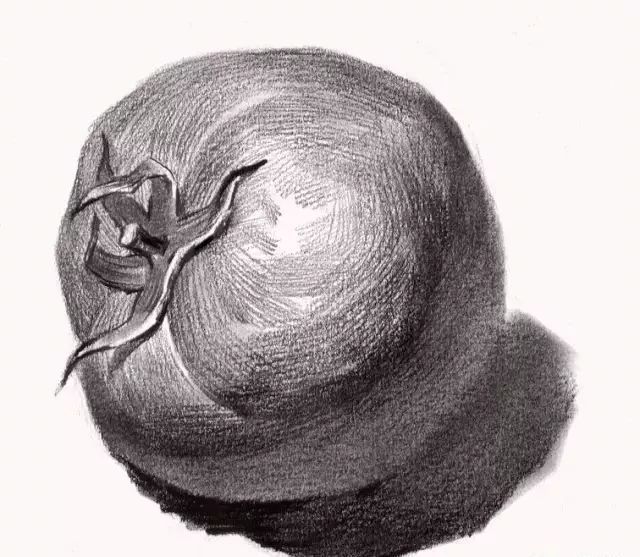 素描静物单体素材合集水果类蔬菜类都有了