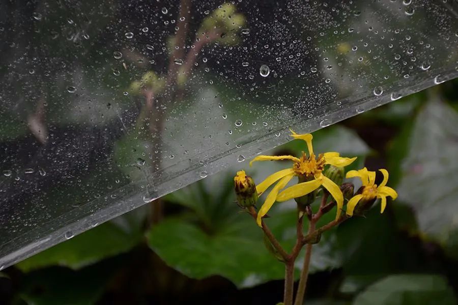 最低5℃，泸州入秋的寒潮即将抵达