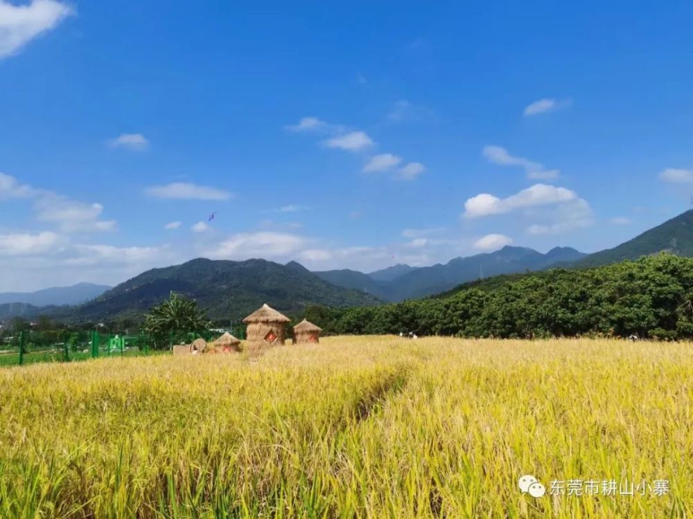 憑積分兌換清溪耕山小寨門票,快來參加吧!_騰訊新聞