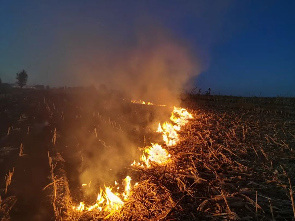 从九月底至今 朔州市共发生玉米秸秆类火灾共80余起 虽没有造成人员