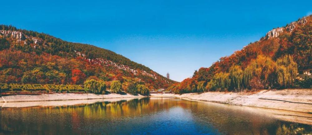 深秋看枣庄·层林尽染峄城秋色最美