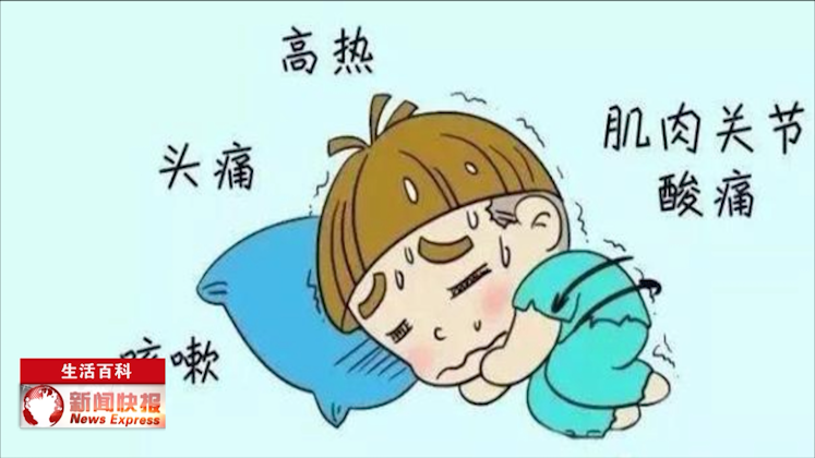 生活百科普通感冒与流感医生教你如何分辨