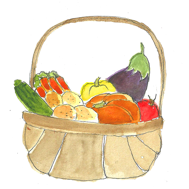 央视点赞疫情之下保供稳价菜篮子