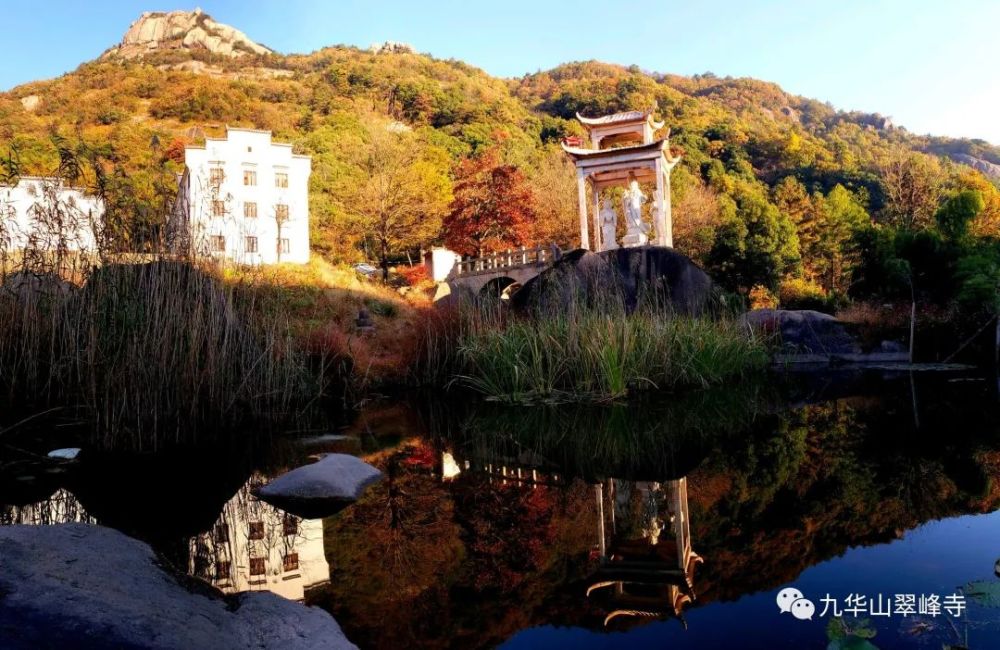 翠峰·秋香 给你点颜色看看