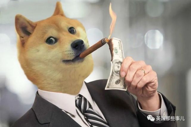 拟人化的doge,强壮的doge,精神污染doge,食物doge,深藏功与名的doge