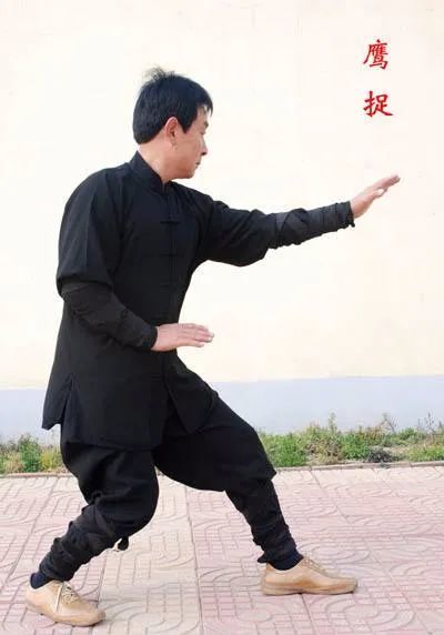 练出形意拳整劲离不开这四个字苦正勤准