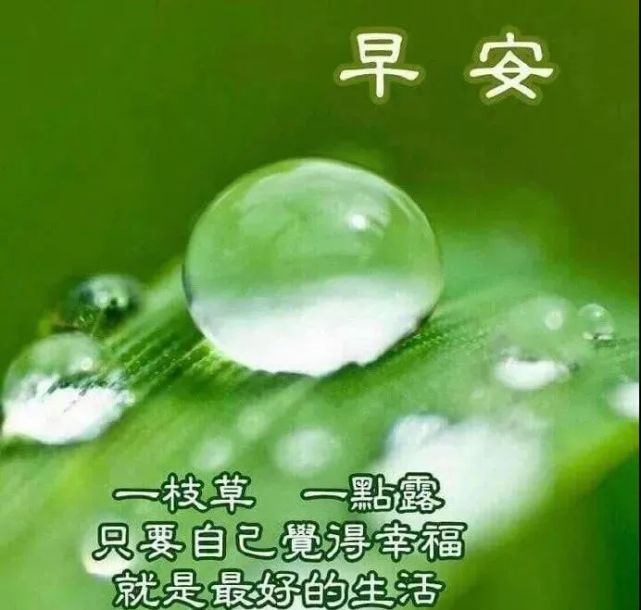 8張最美秋天風景早上好圖片帶字帶祝福語免打字聊天的秋日風景早安