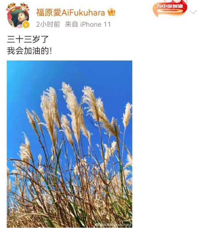 福原爱离婚四个月后发文庆祝生日 我会加油的 网友留言纷纷力挺 腾讯新闻