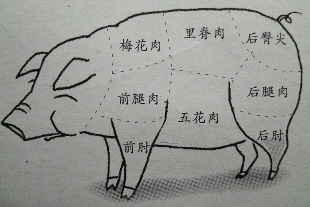 猪松板肉部位图图片