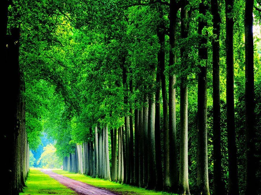 保护眼睛的好图片