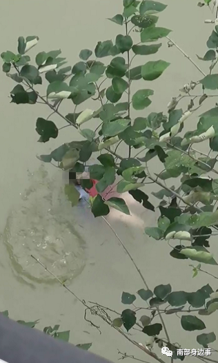 突发!南部红电大桥一女子跳河自杀