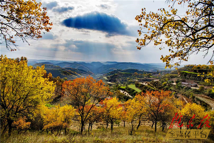 【美图庆阳】"醉"美秋景(二)