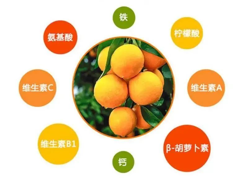 正宗赣南脐橙个大饱满皮薄肉厚肉质脆嫩口口爆汁