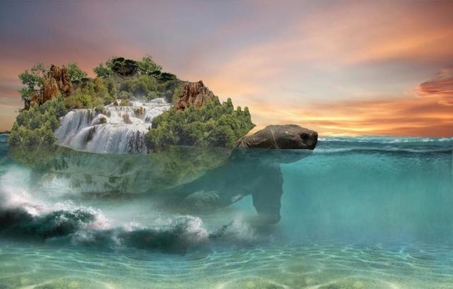 奇闻轶事1965年渔民发现黄河大王一只比卡车都大的乌龟