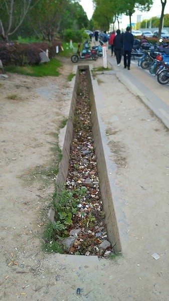 肿瘤医院外,绿地排水沟沦为"垃圾沟"