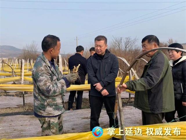 晨报快讯窦庆国调研汪清县乡村振兴扶贫产业后评估工作准备情况